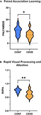 Gait variability predicts cognitive impairment in older adults with subclinical cerebral small vessel disease